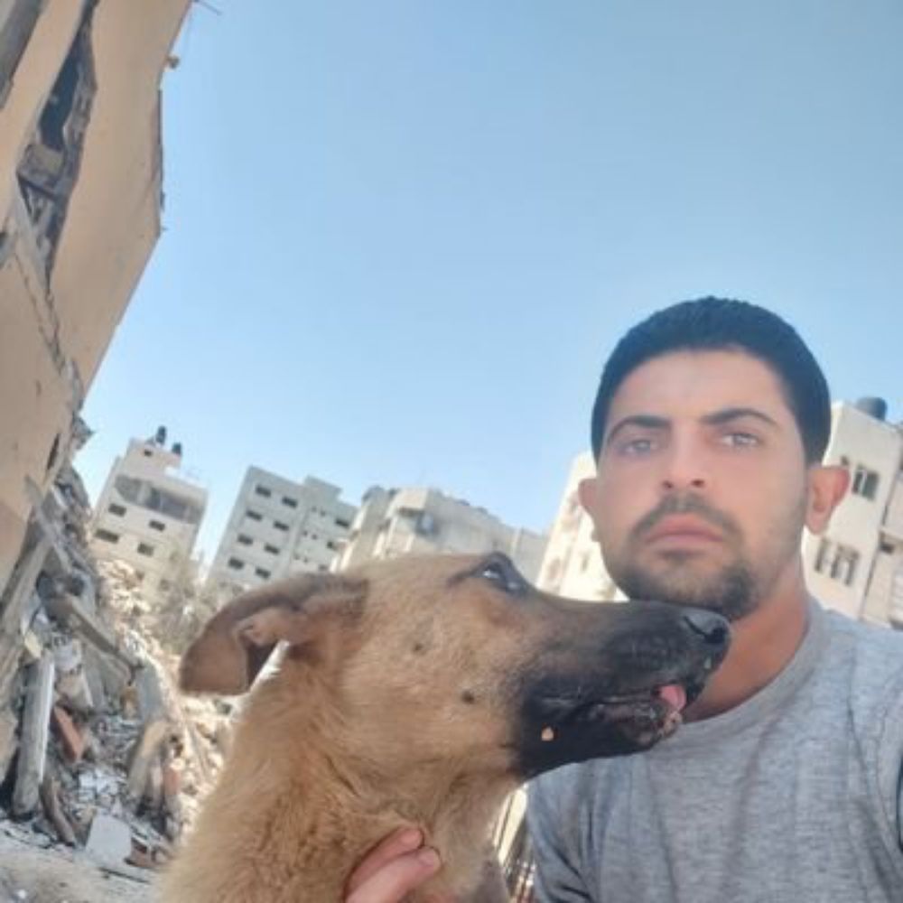 🐾help Animal Gaza🐾
