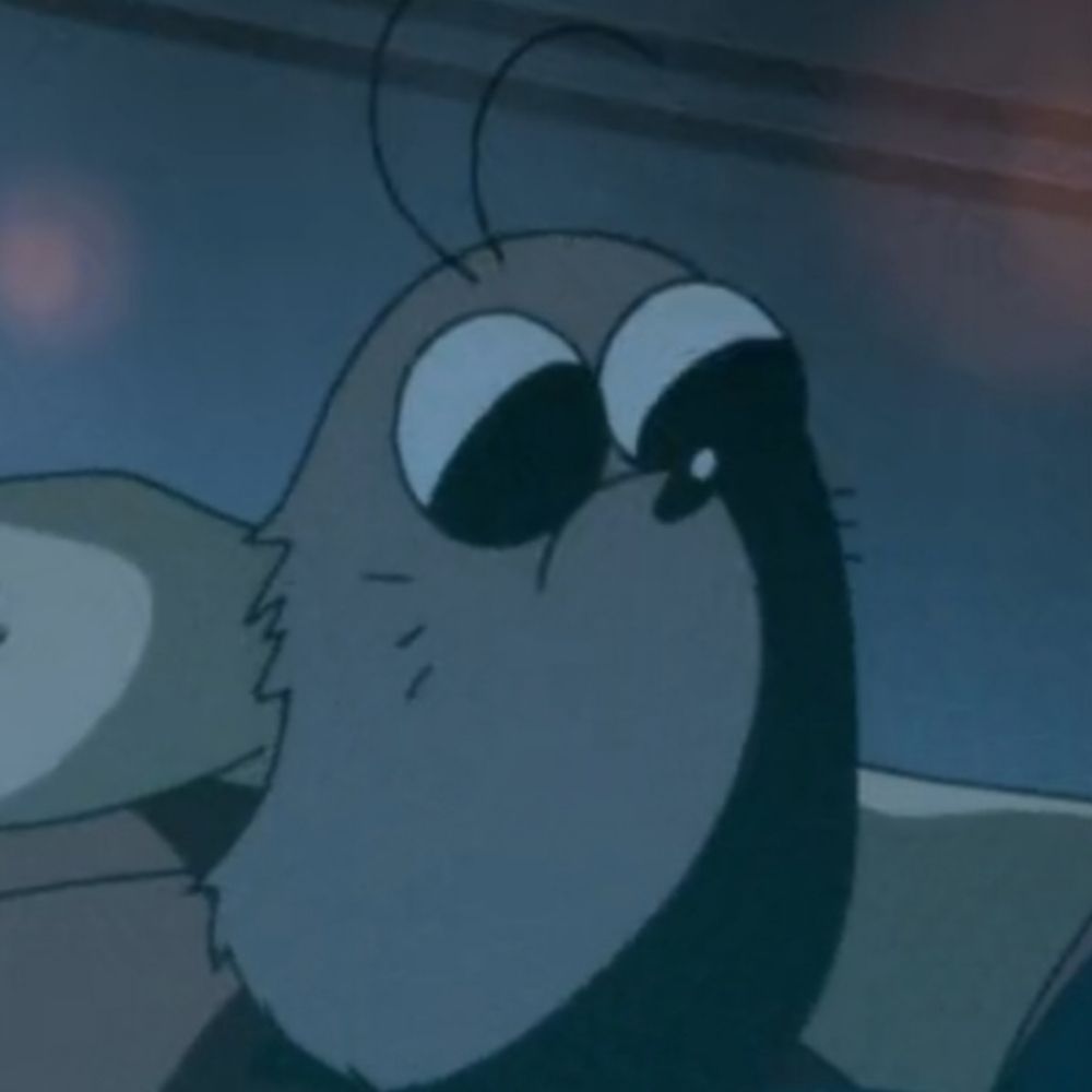 Boota