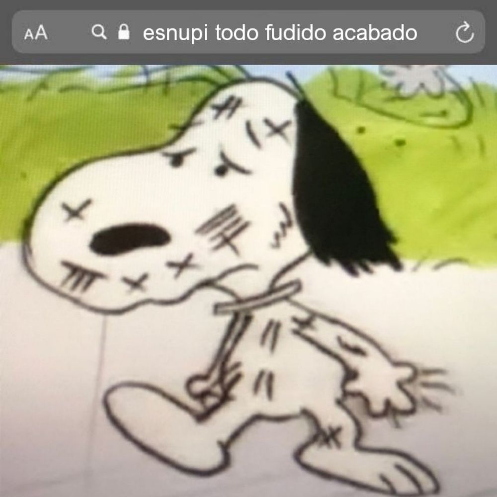 Snoopi todo fudido acabado