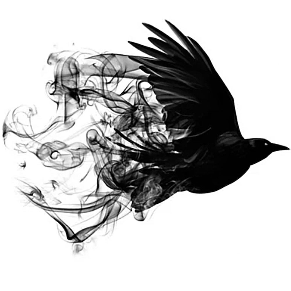 A MOST CURIOUS CROW