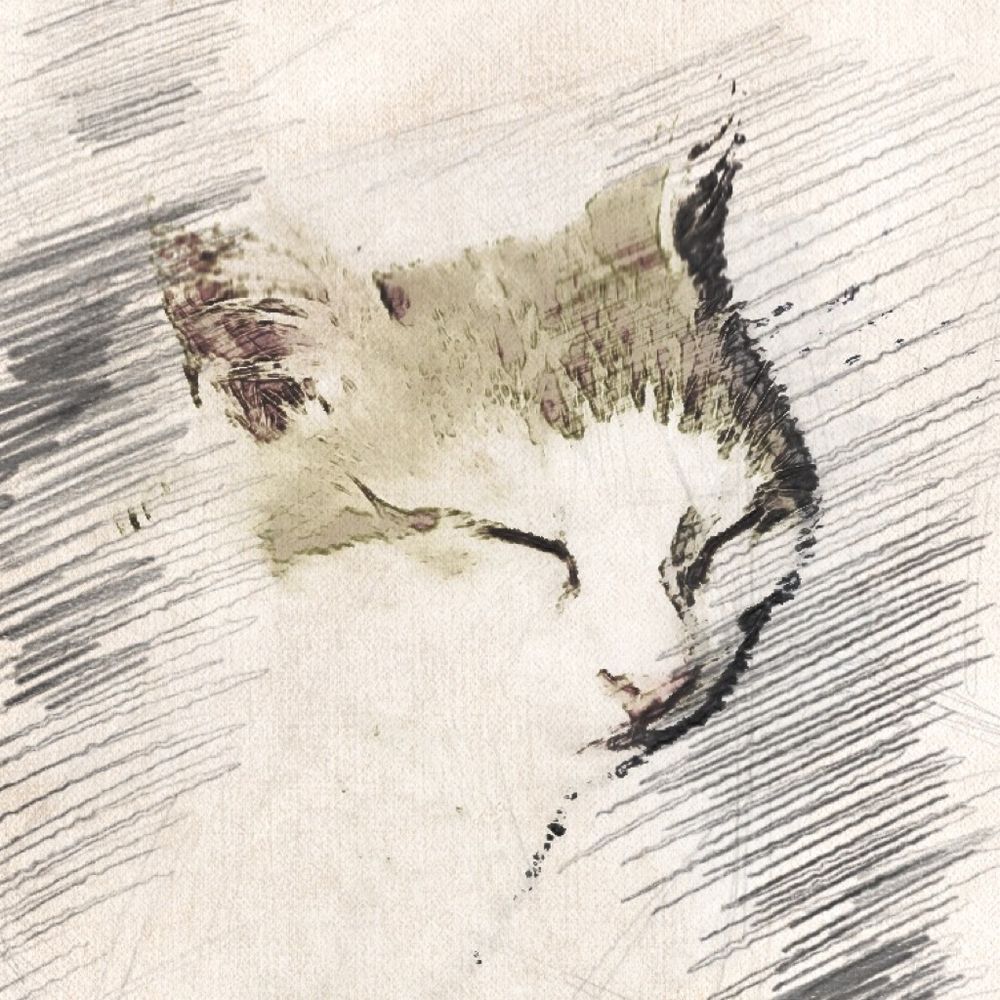 ゆうい
