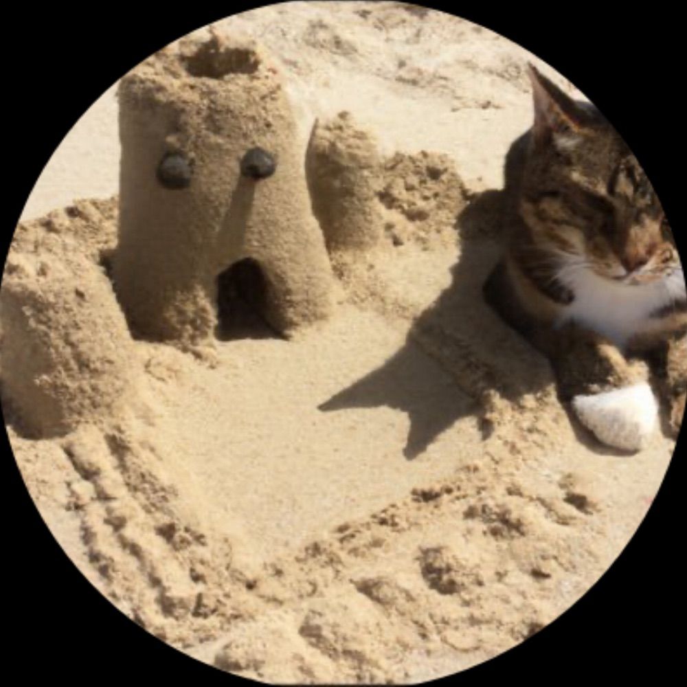 Profile picture sandcastlekat.bsky.social