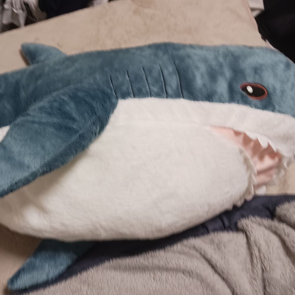 やまだ