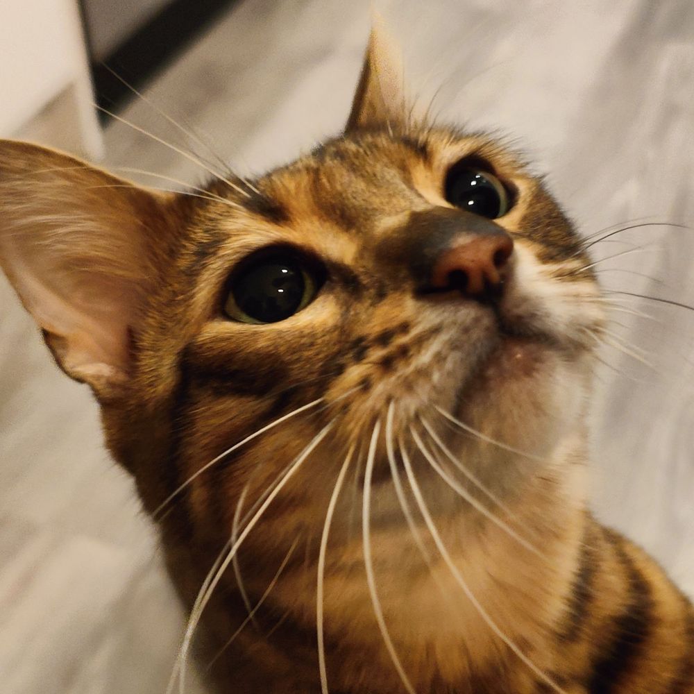 Dan