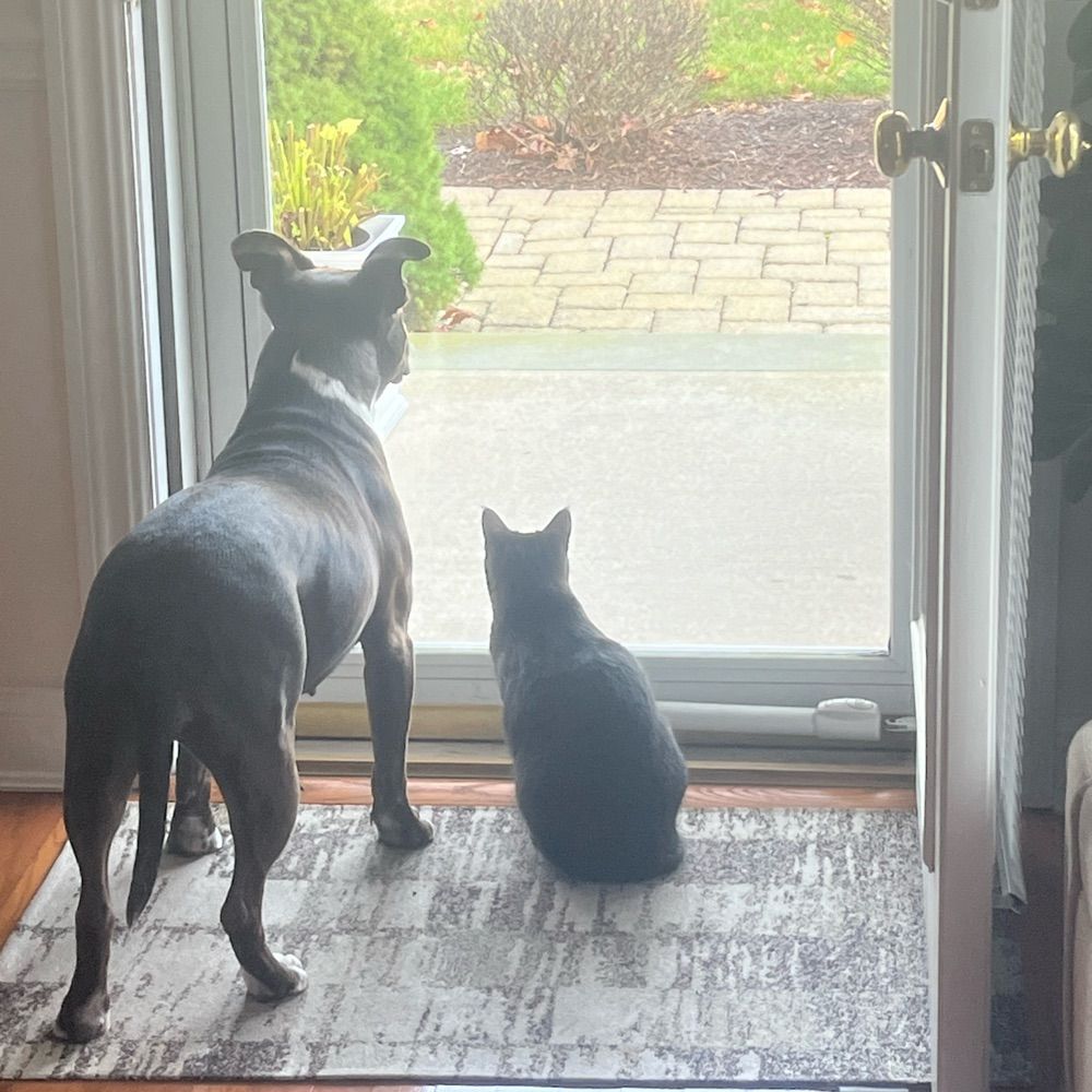 Kitty and Fiona