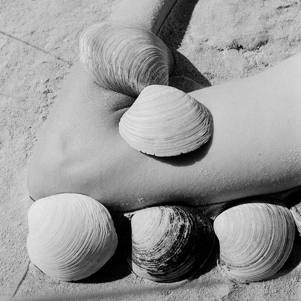 Marit Beer