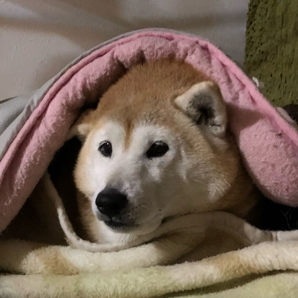 メッサー趣味ッ人