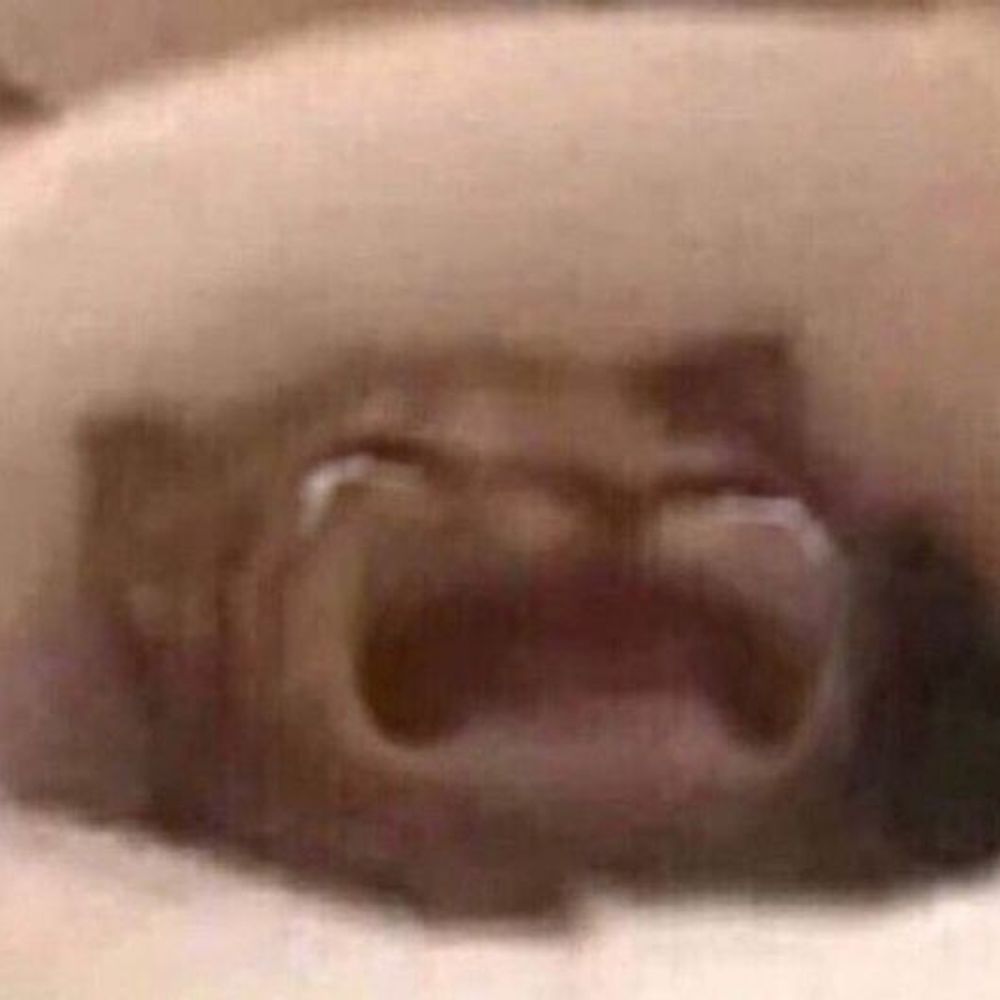joiiii