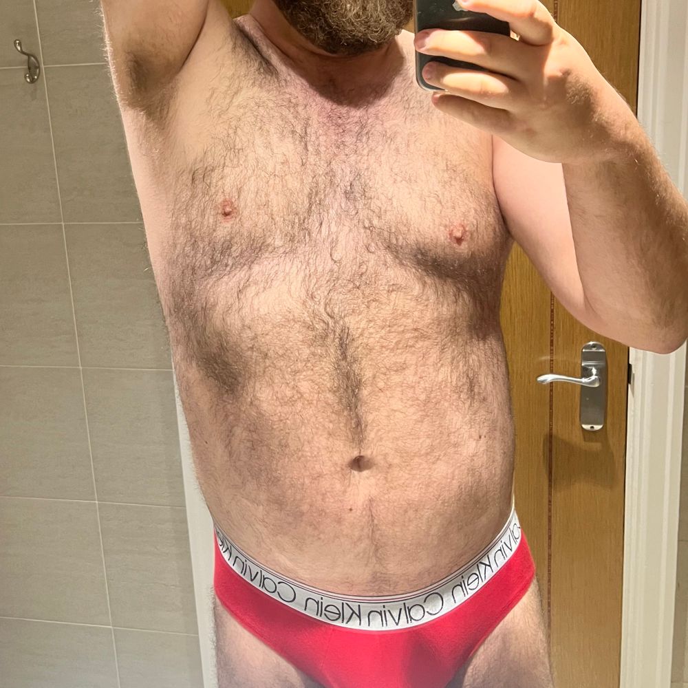 🐻
