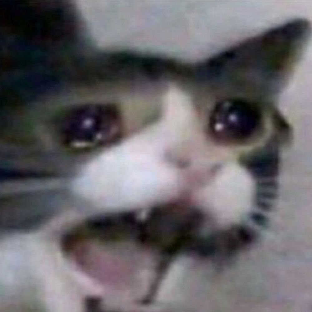 에다