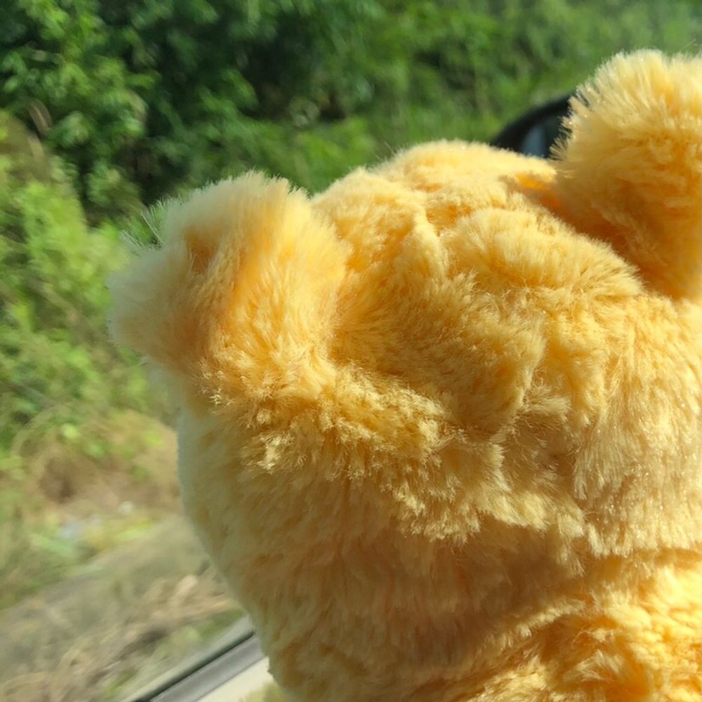 ふぇり