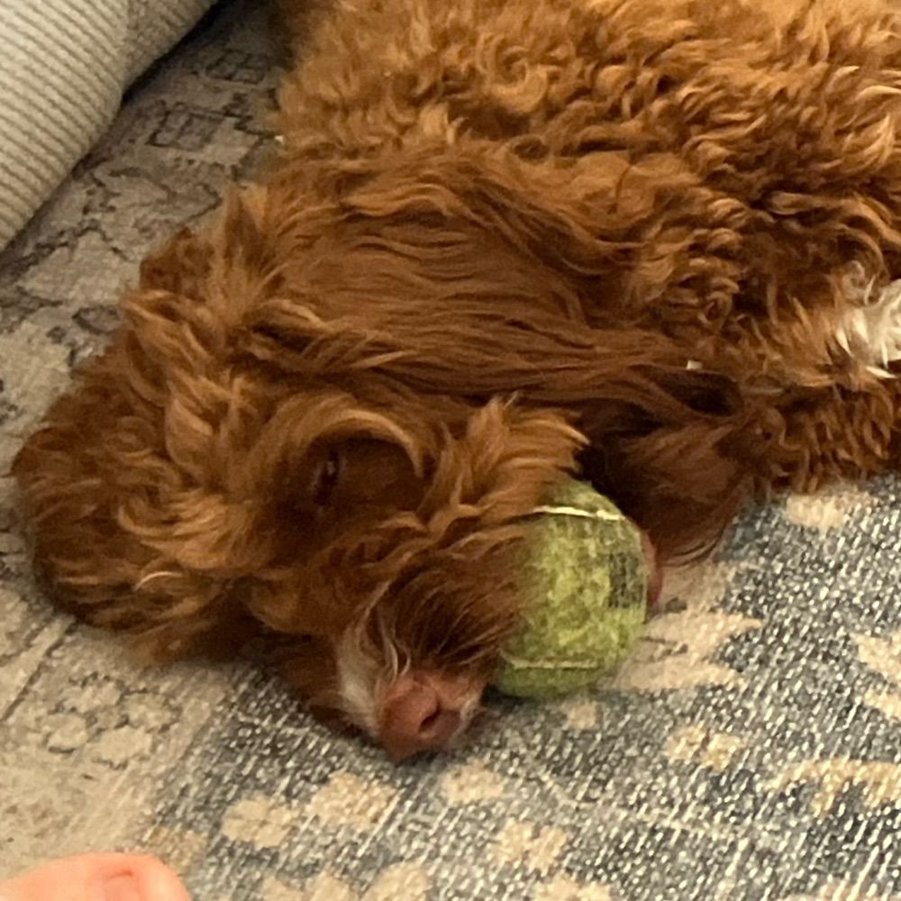 mlyngcoln.bsky.social