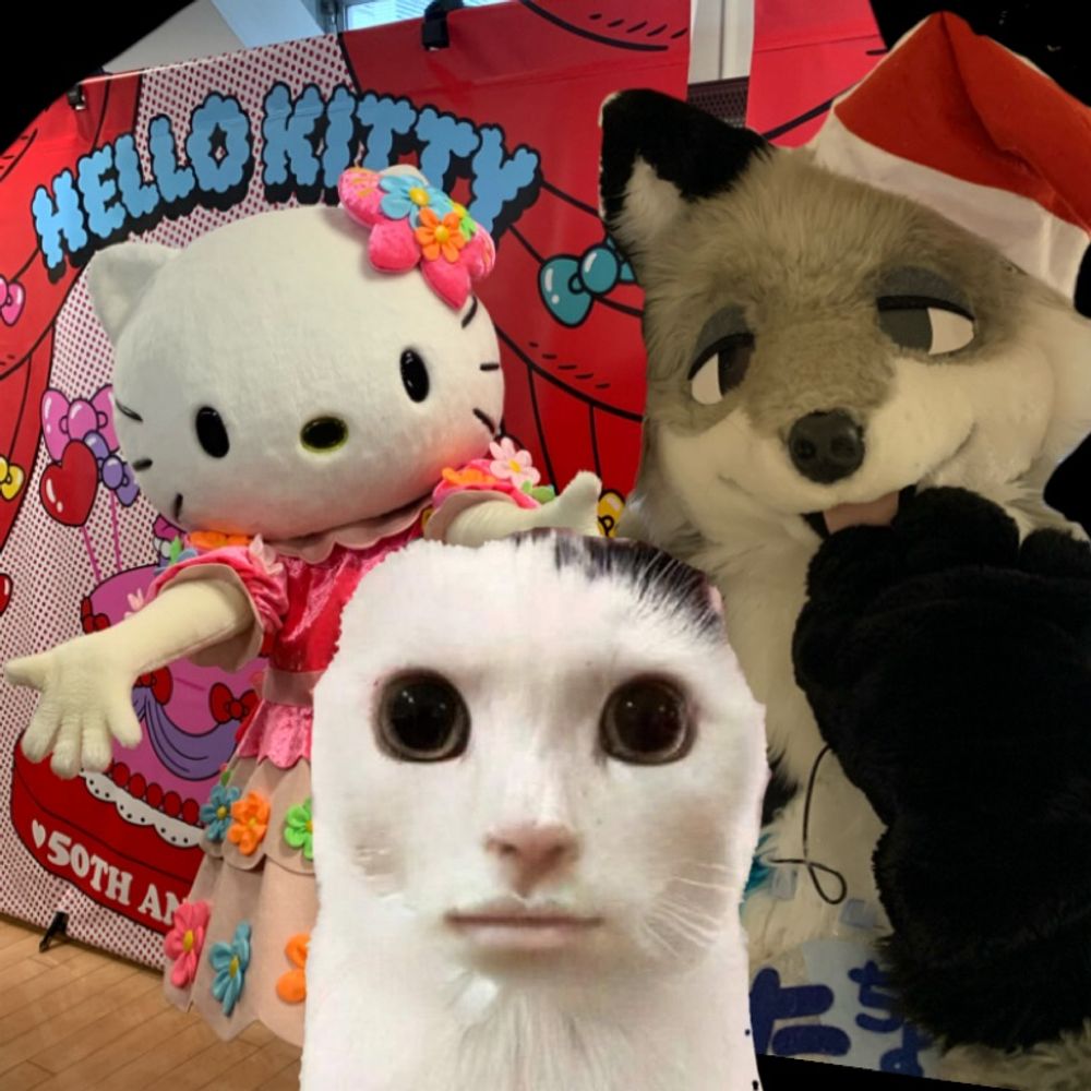 かめりあ ~sanrio~