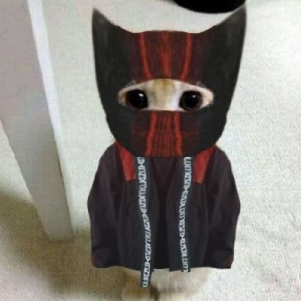 Tal da Gabi que vai ver o Twenty one pilots |-/ 🌈 
