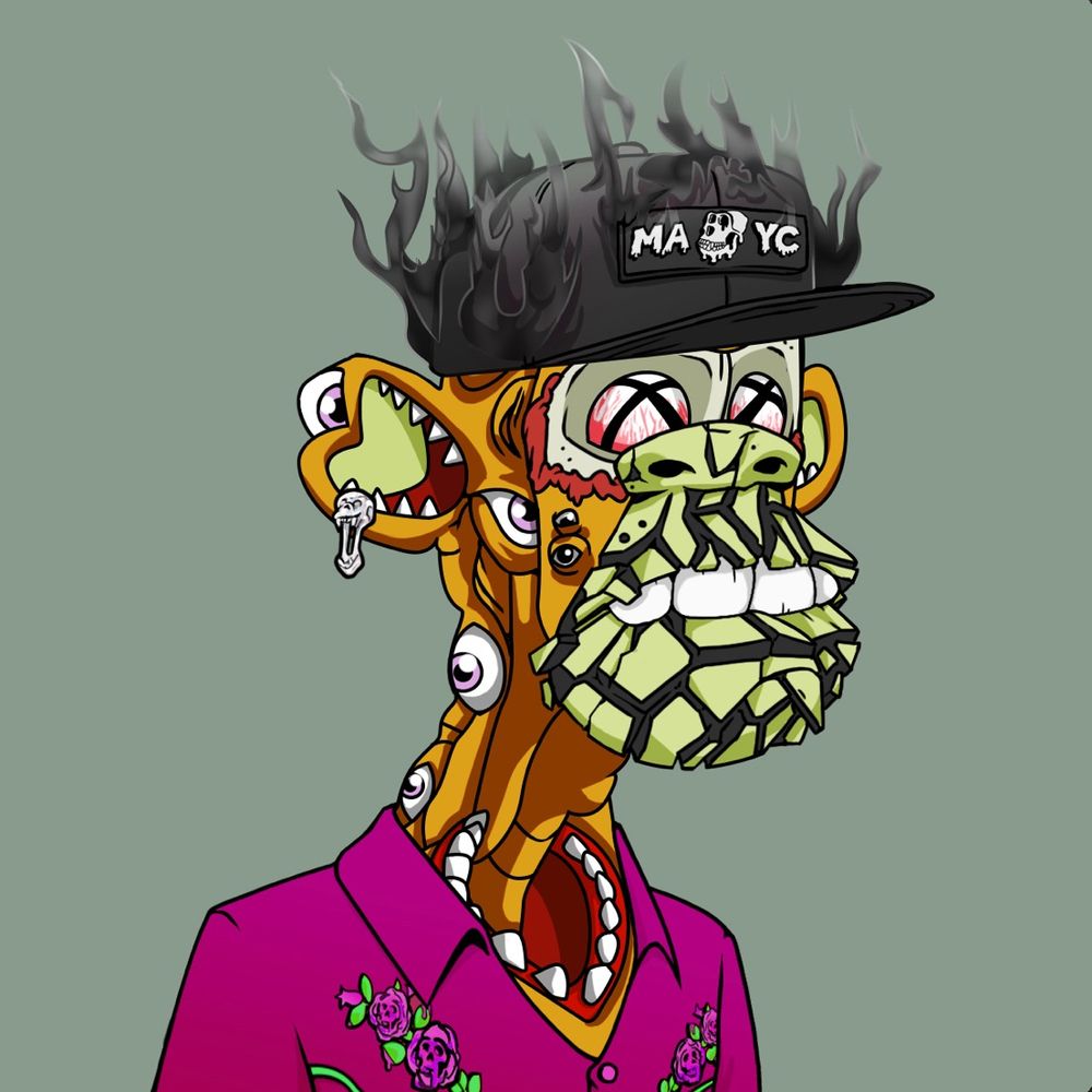RookDPO