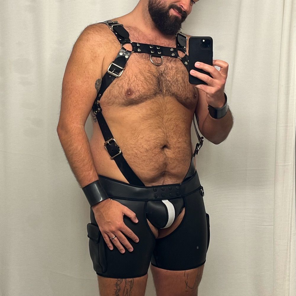 Geared Bear
