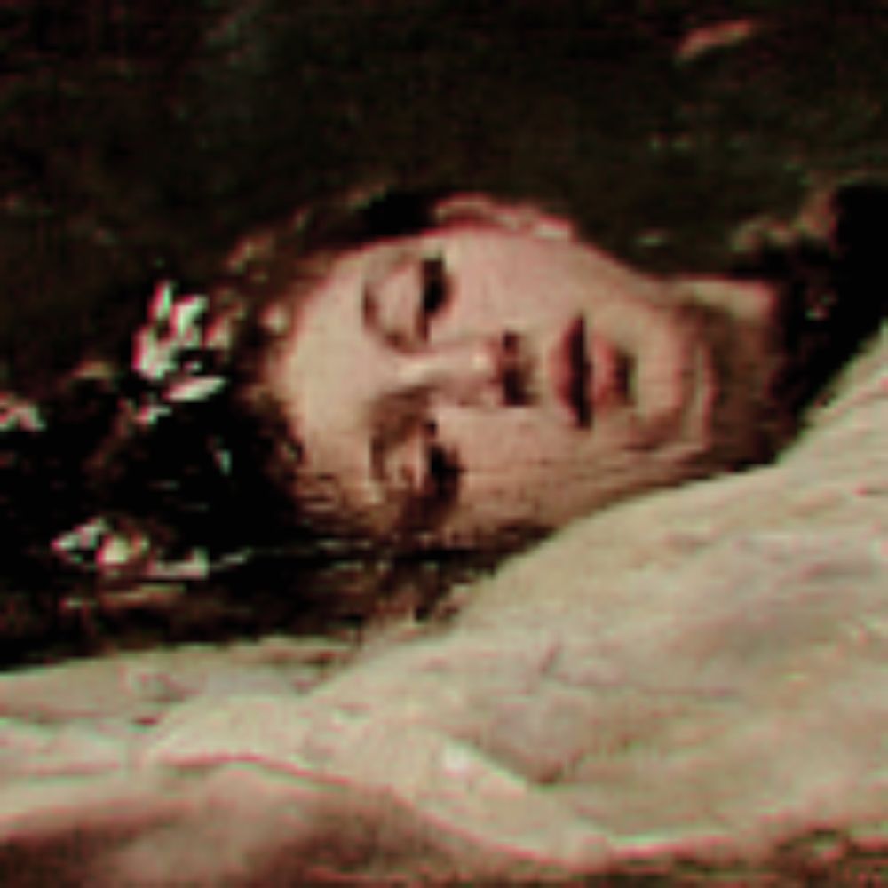 ara major