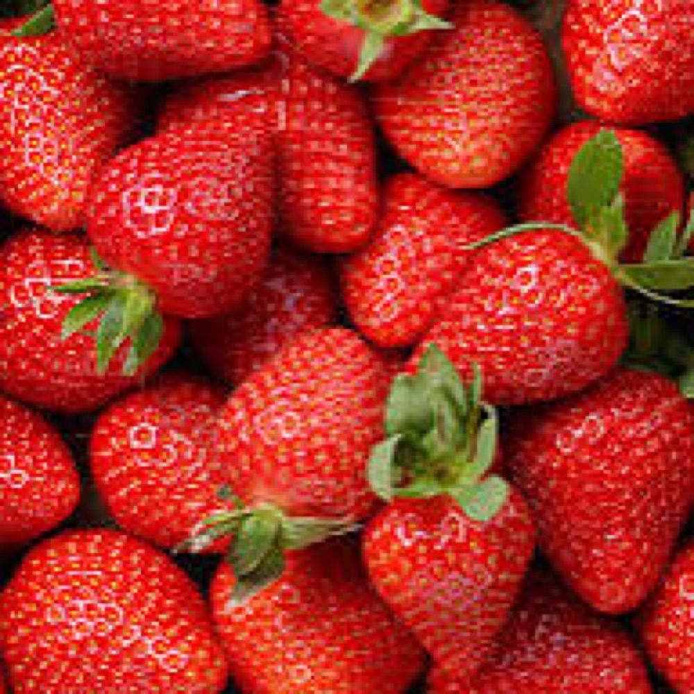 Lafraise28
