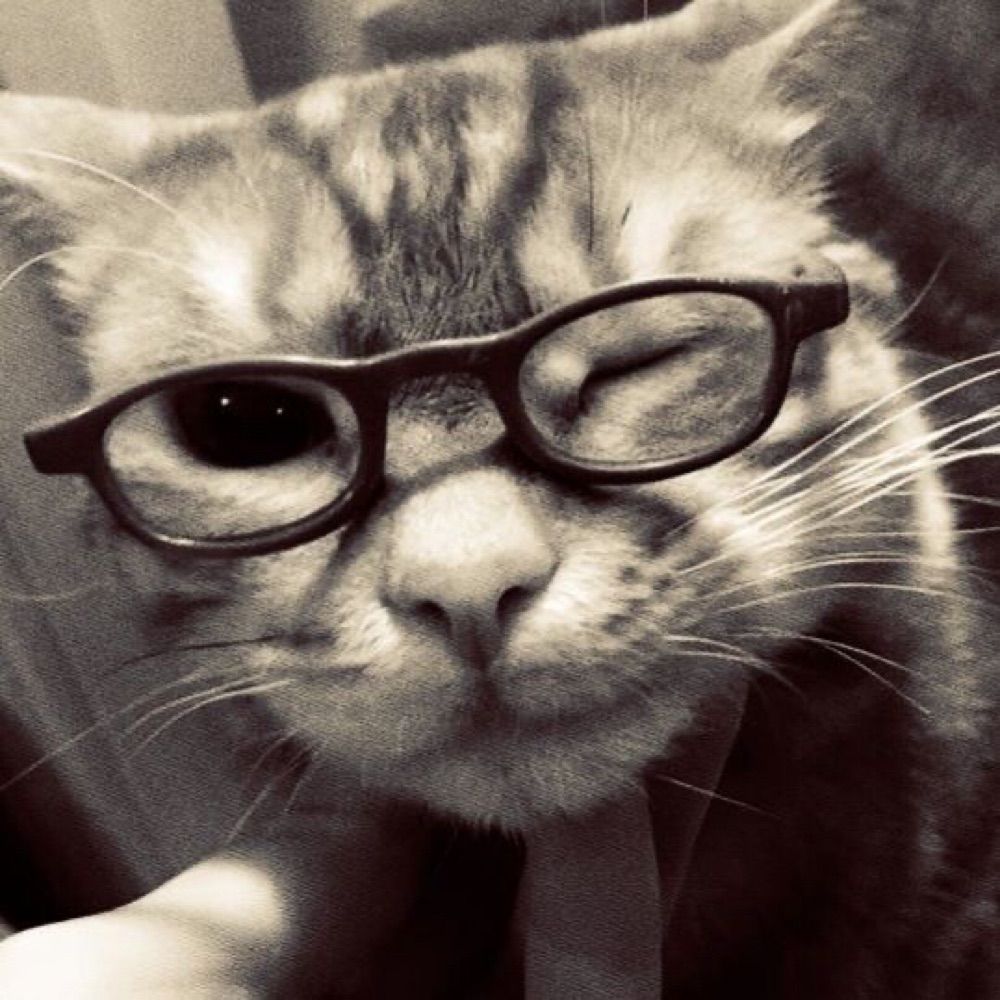 𝗷𝘂𝗹𝗶𝗮𝗻𝗮 ✦