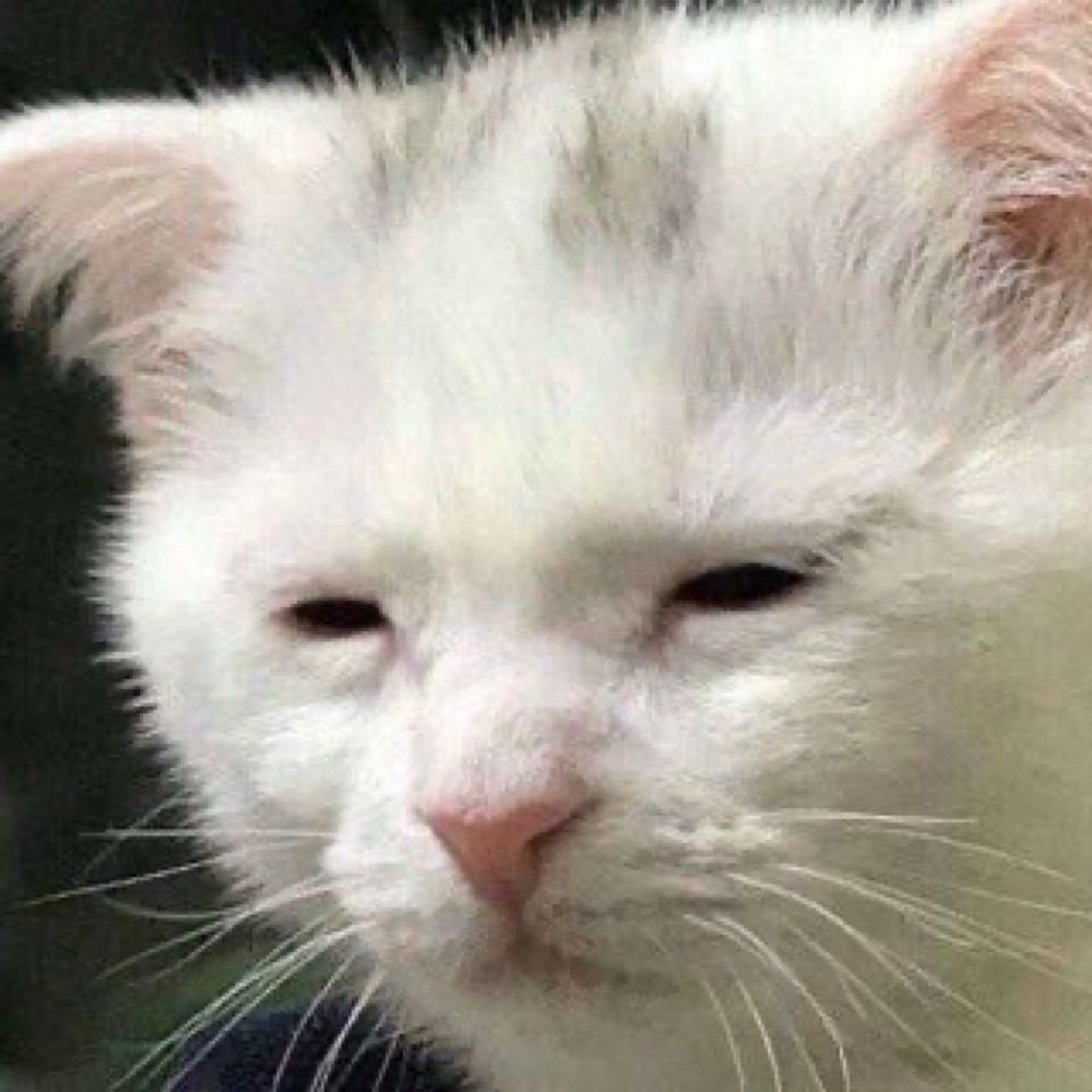 Shu
