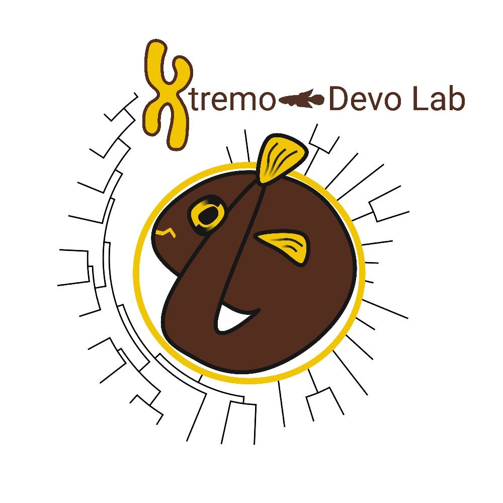 Xtremo-Devo Lab @ WMU