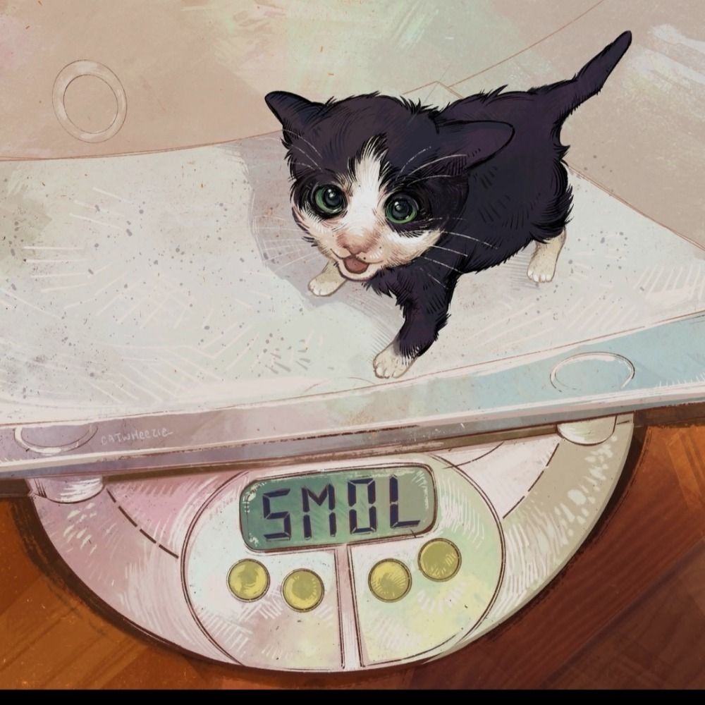 Sam