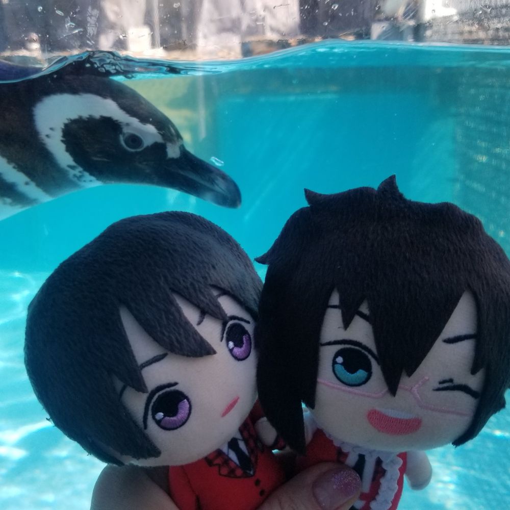 きゆ