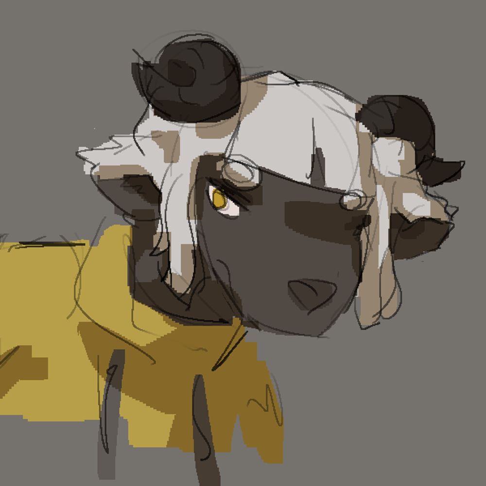 Fuj0sheep 🐑