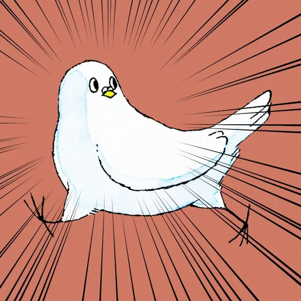 笛田鳩
