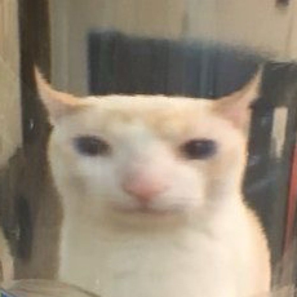 대못생