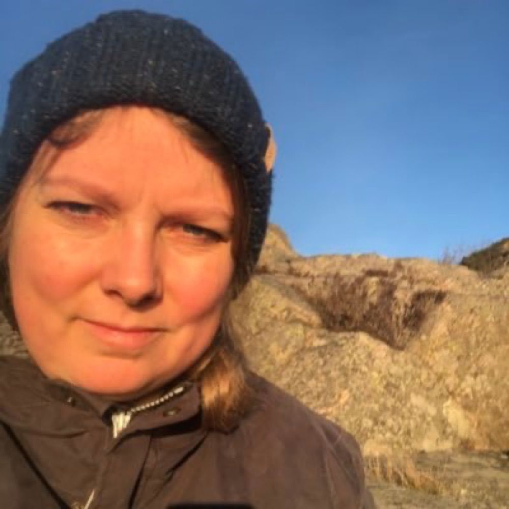 Marte Viken