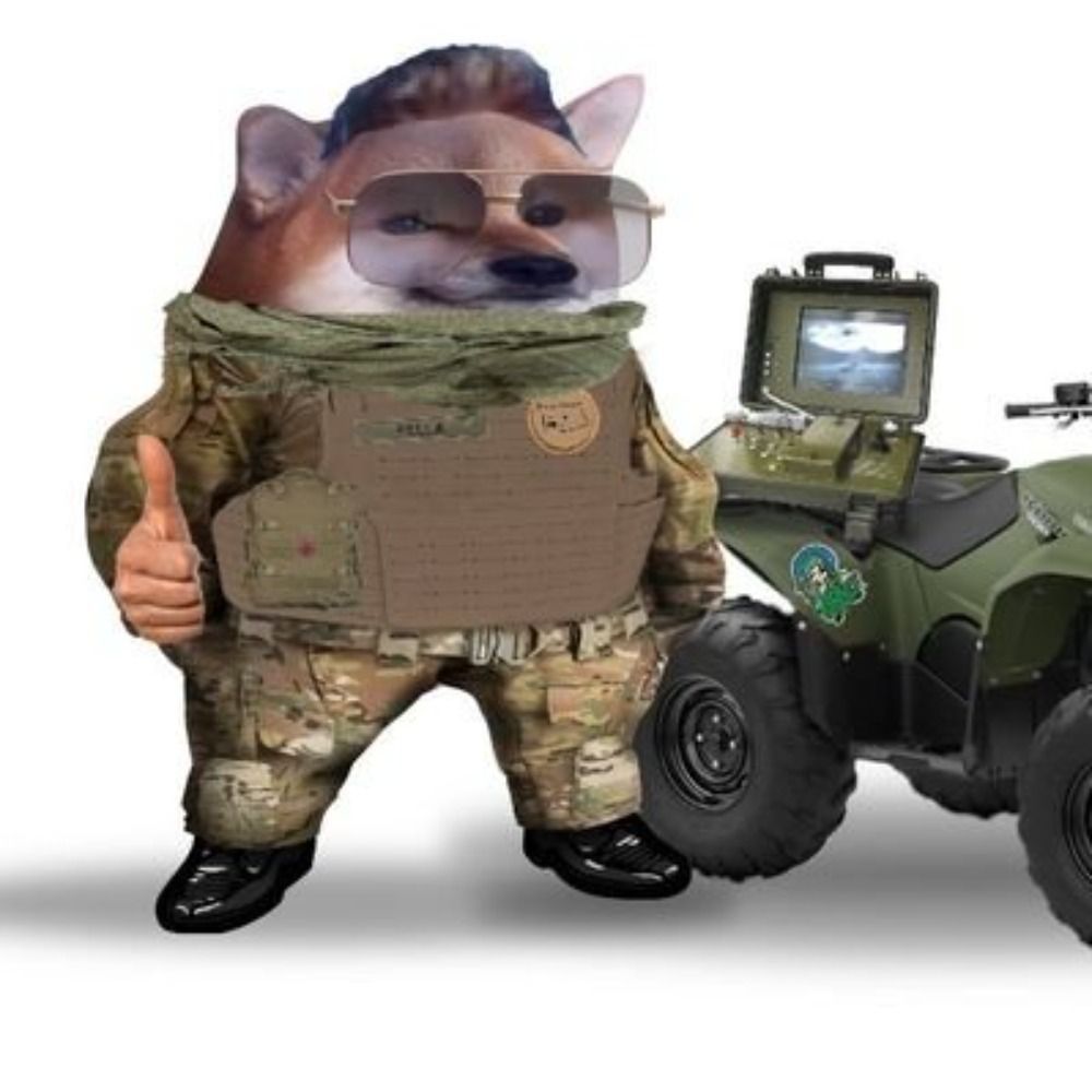 Quad squad fella