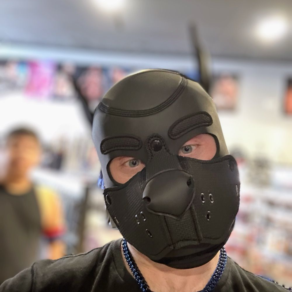 Alpha Pup Kast