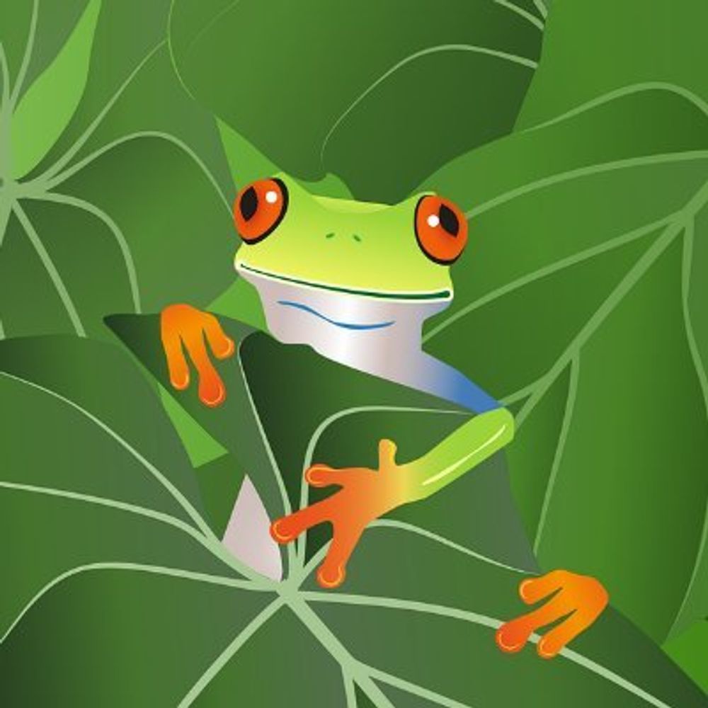 CordialFrog