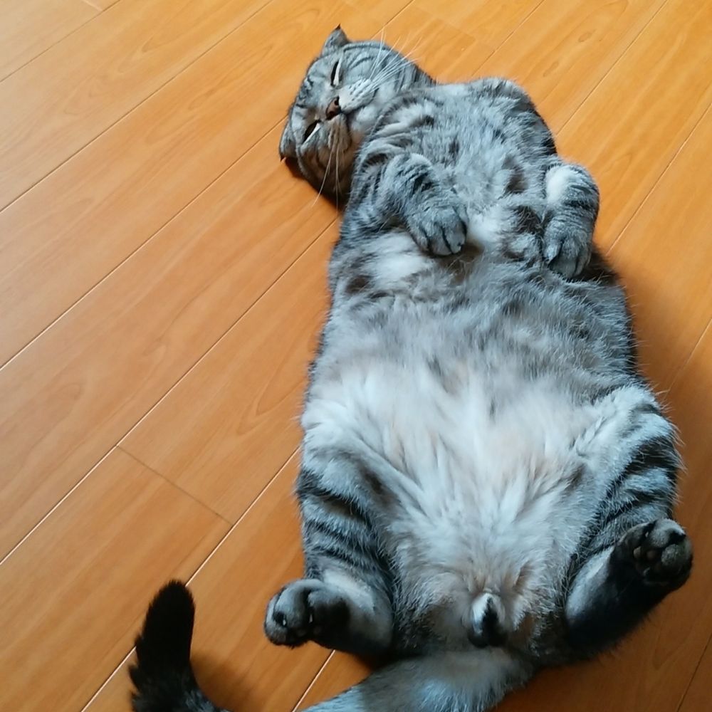 片倉