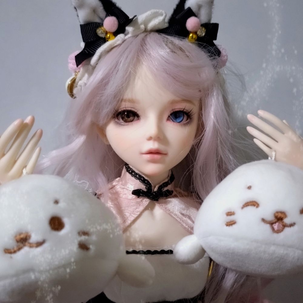 きっさら