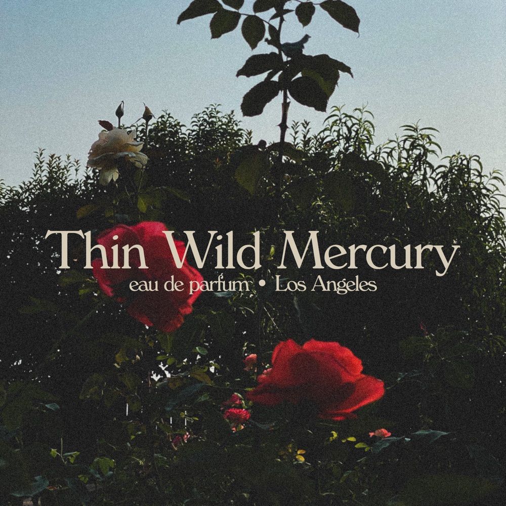 Thin Wild Mercury