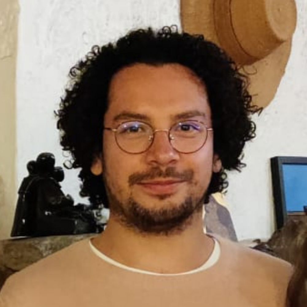Vincent GUILLAUME