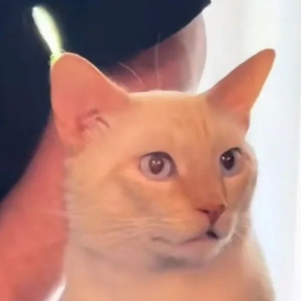 Catsith