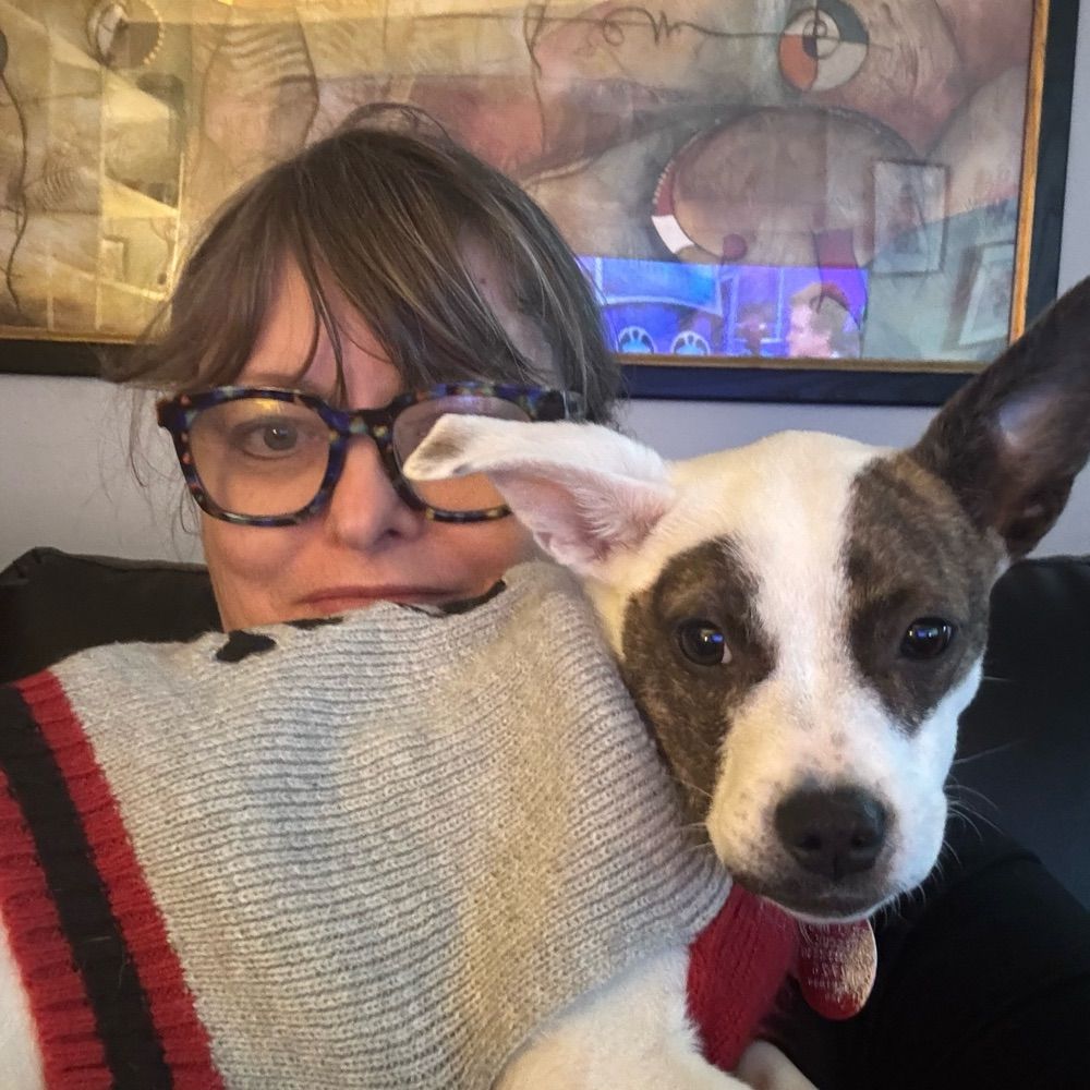 Lisa Aikin