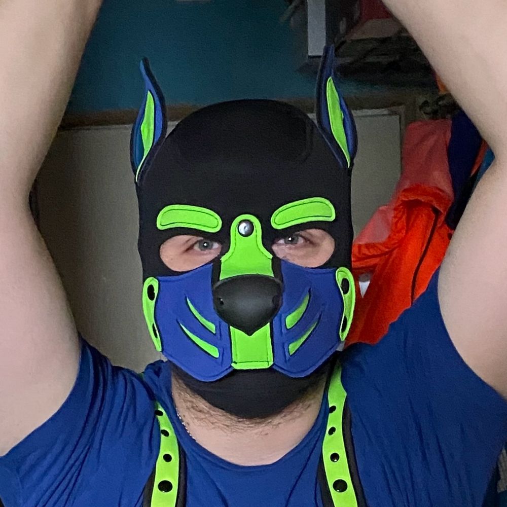 Pup Dante 
