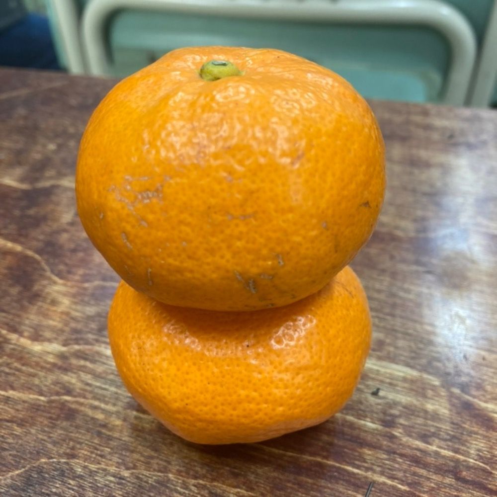 下土狩・下土・下