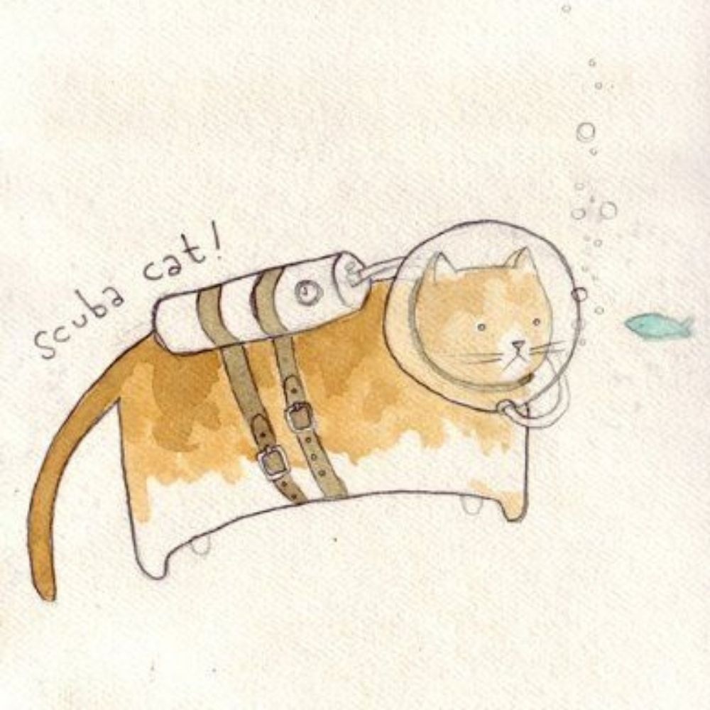 ねこ