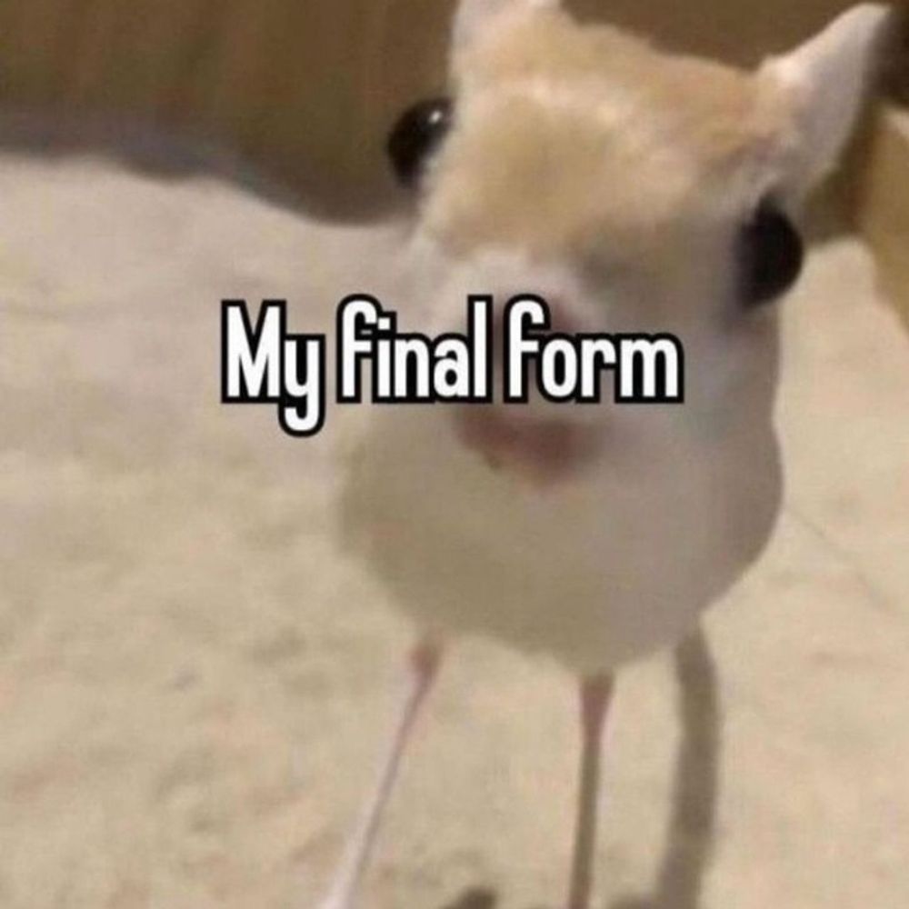 Chock