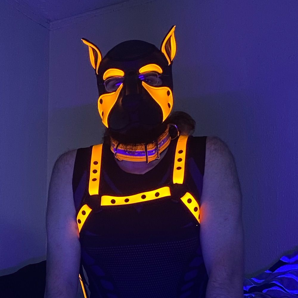 Sphinx! 🔜FWA, MFF