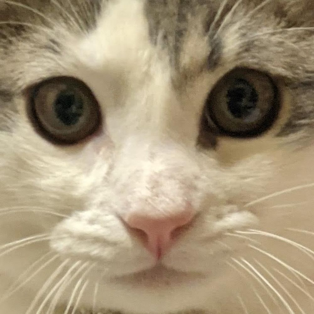 ささみん