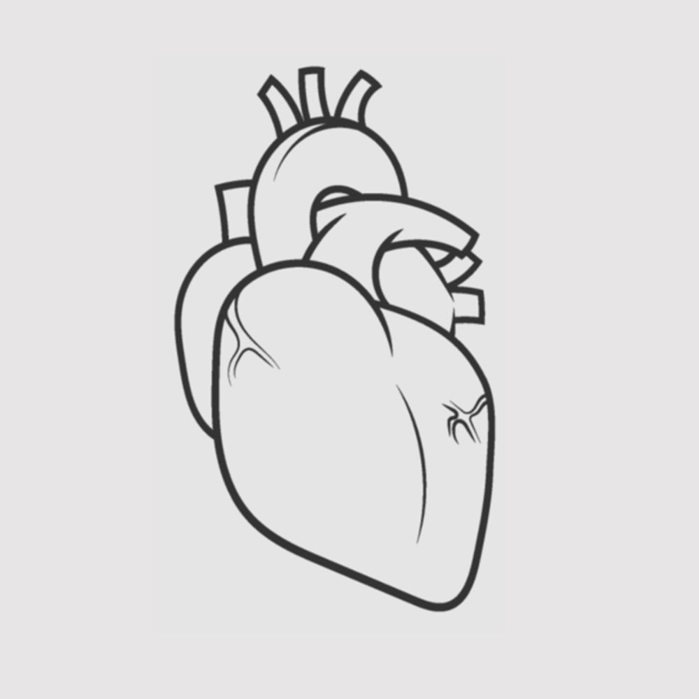 The Resuscitative TEE Workshop