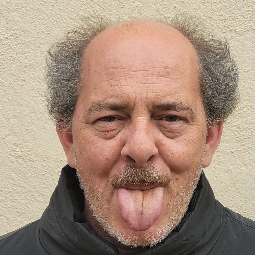 Albert Mestres Portavella