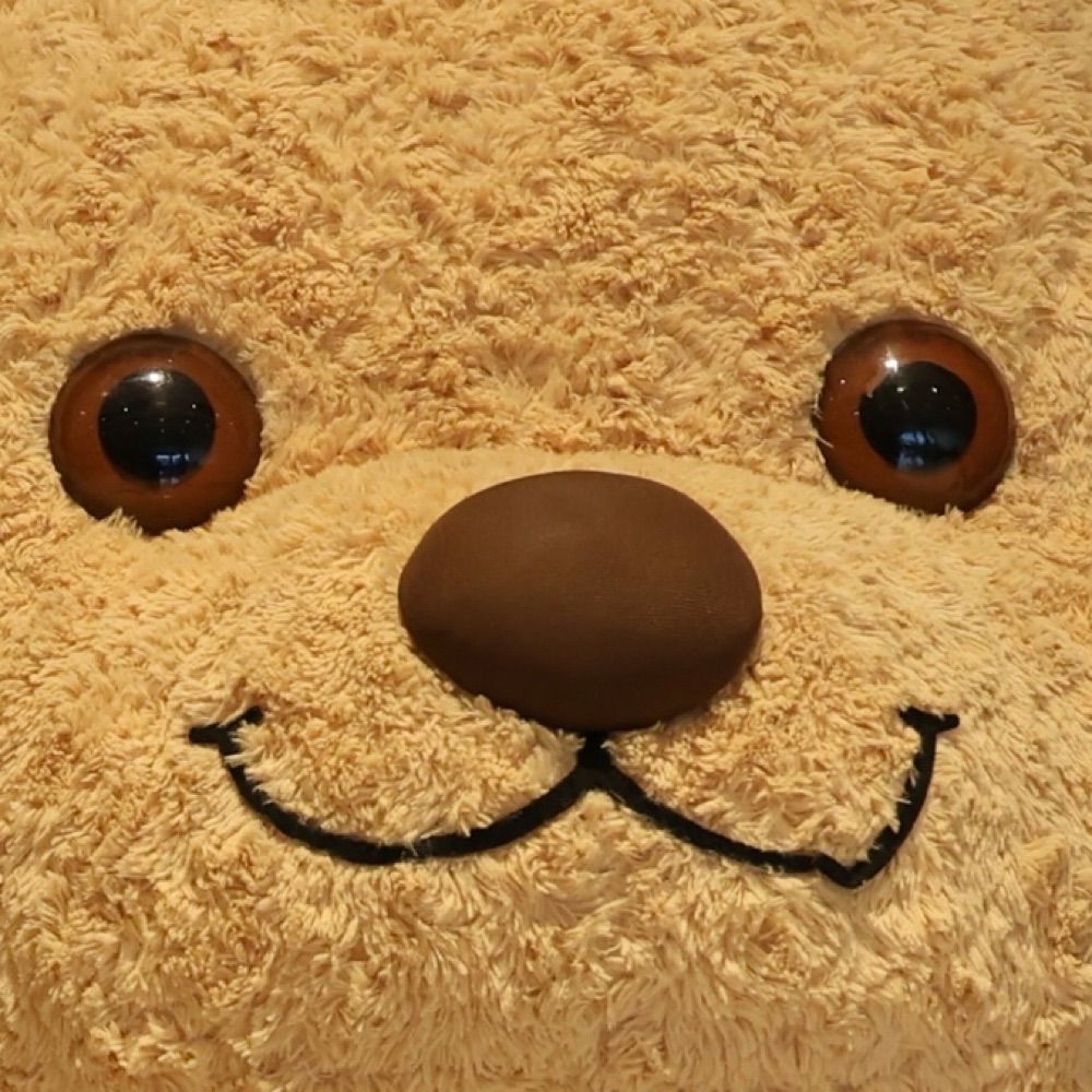 Hu