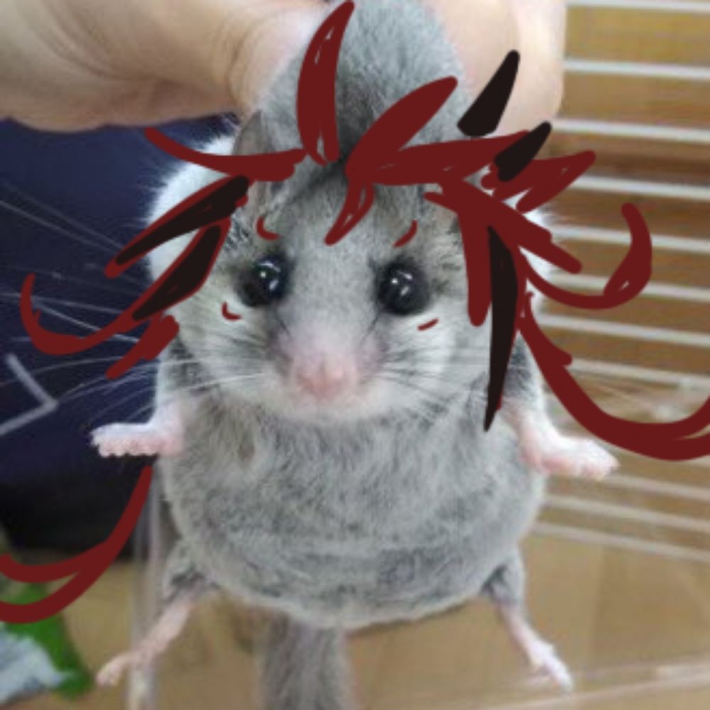 와친련